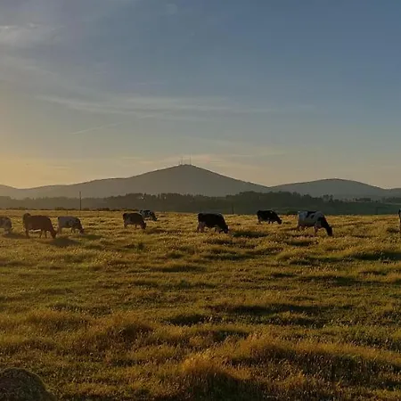 Turpino House * Vilar Torpim