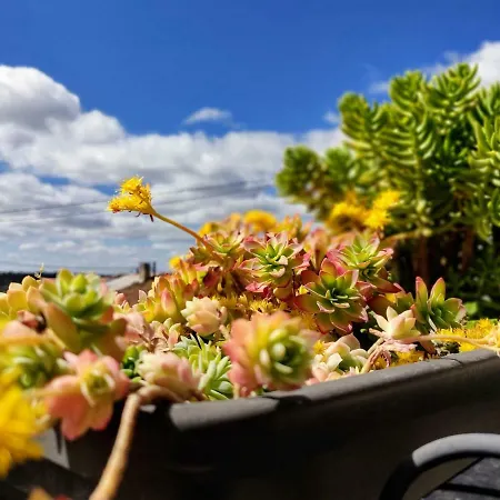 Feriehus Turpino House *