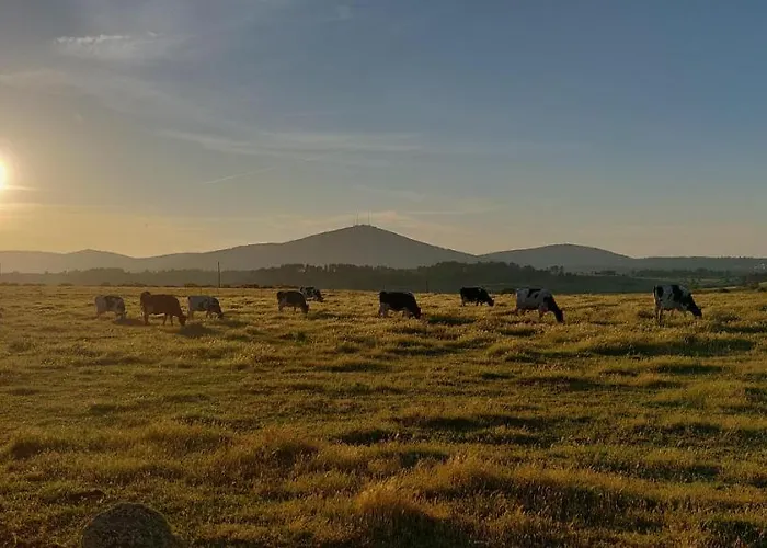 Turpino House * Vilar Torpim