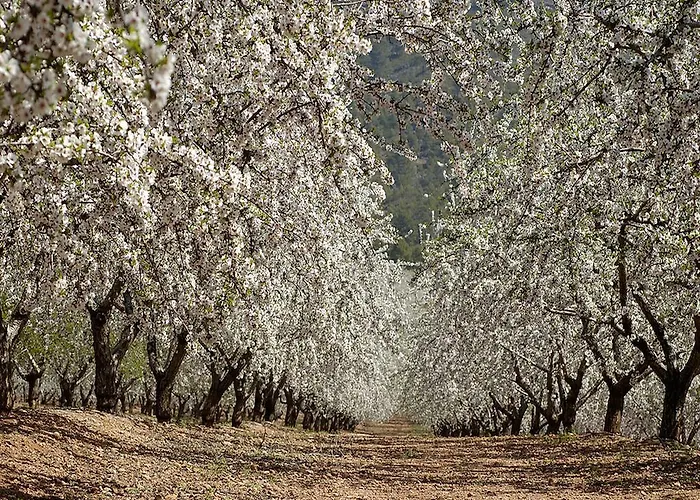 別荘 Turpino House Vilar Torpim