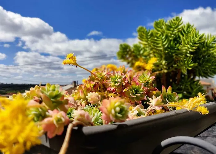 別荘 Turpino House *